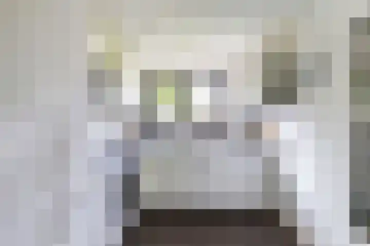 Baken 22 Scharendijke thumbnail 21