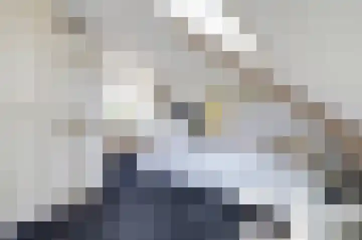 Baken 22 Scharendijke thumbnail 25