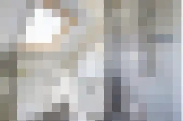 Baken 22 Scharendijke thumbnail 27