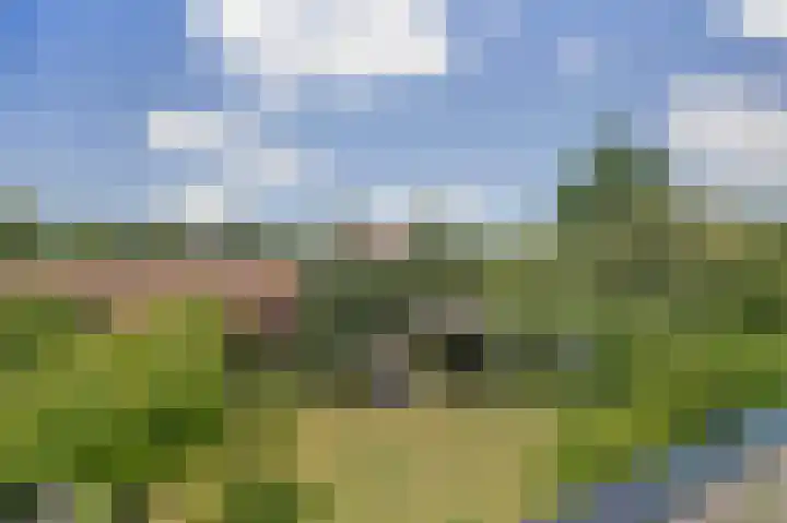 Baken 22 Scharendijke thumbnail 30