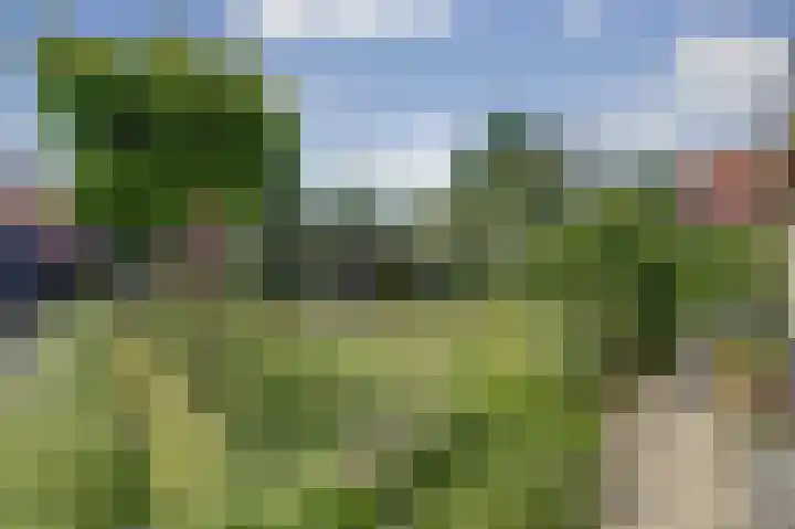 Baken 22 Scharendijke thumbnail 32