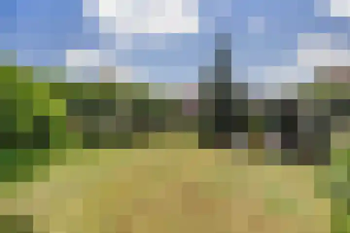 Baken 22 Scharendijke thumbnail 33
