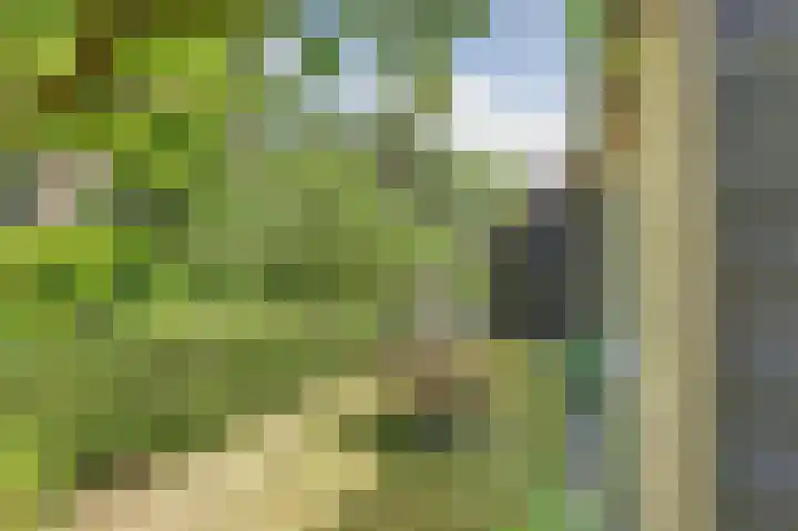 Baken 22 Scharendijke thumbnail 34