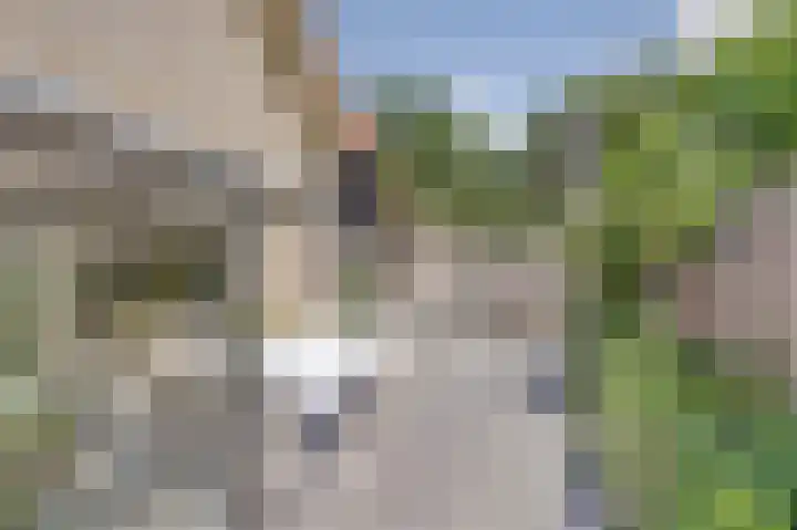 Baken 22 Scharendijke thumbnail 35