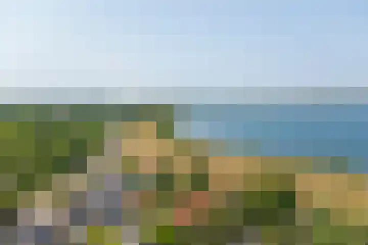 Baken 22 Scharendijke thumbnail 37