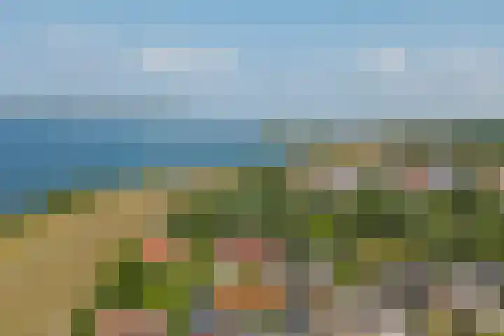 Baken 22 Scharendijke thumbnail 38