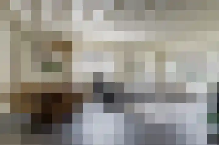 Baken 22 Scharendijke thumbnail 4