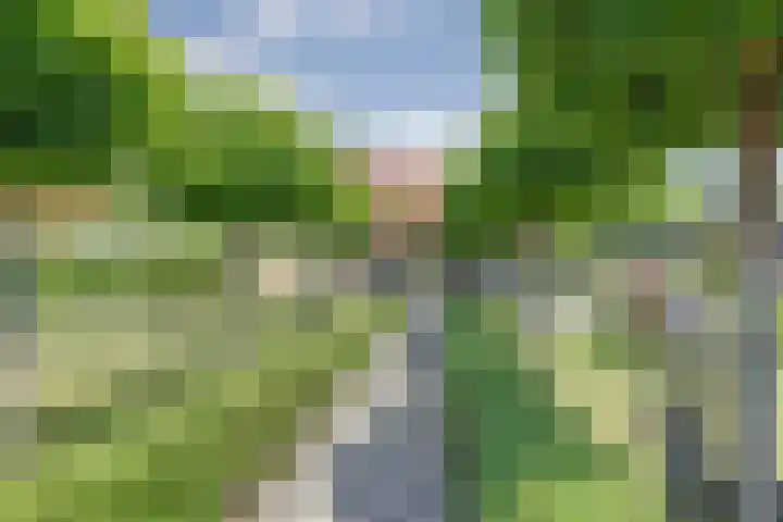 Baken 22 Scharendijke thumbnail 46