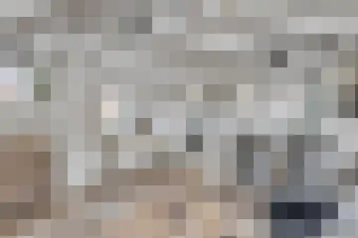Baken 32 Scharendijke thumbnail 10