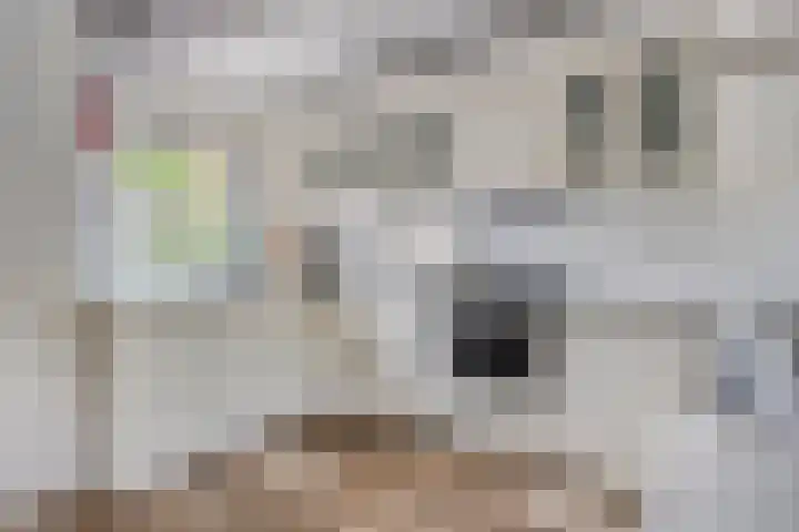Baken 32 Scharendijke thumbnail 11