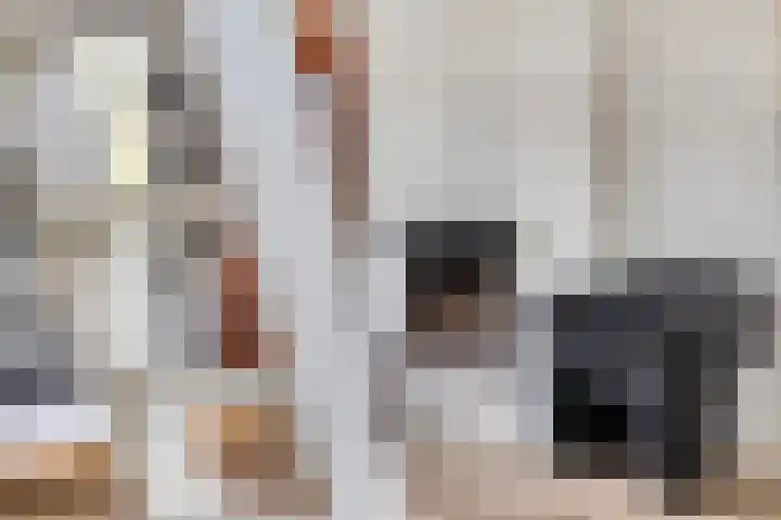 Baken 32 Scharendijke thumbnail 13