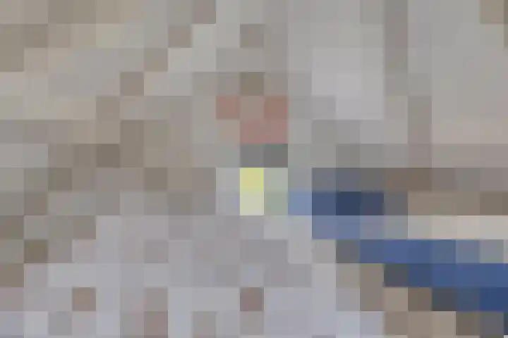Baken 32 Scharendijke thumbnail 14