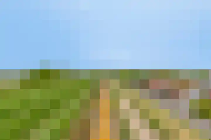 Baken 32 Scharendijke thumbnail 24