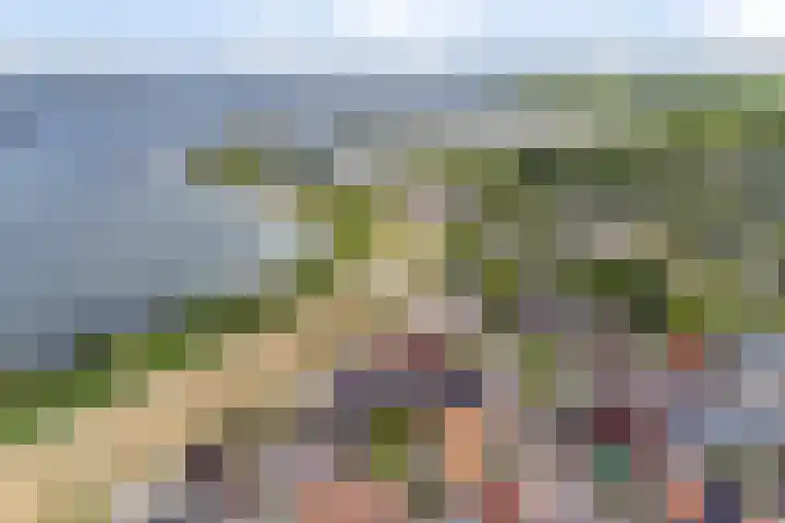 Baken 32 Scharendijke thumbnail 26