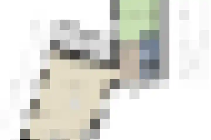 Baken 32 Scharendijke thumbnail 28