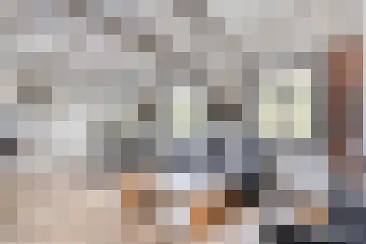 Baken 32 Scharendijke thumbnail 7