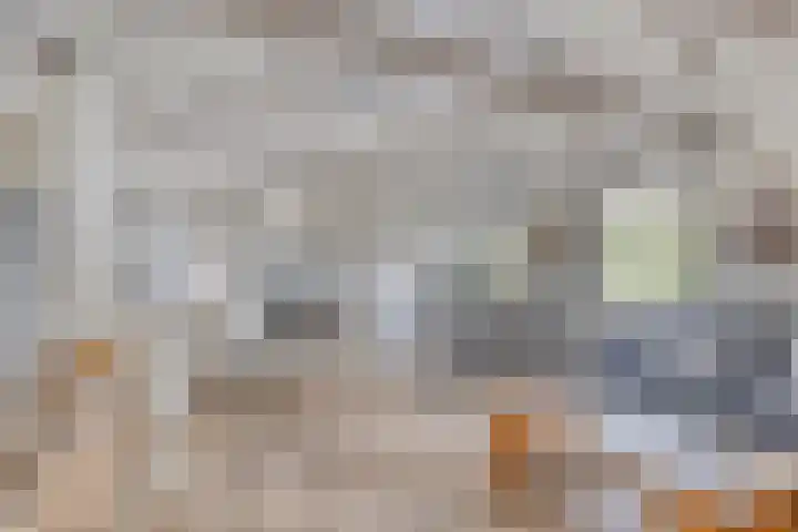 Baken 32 Scharendijke thumbnail 8