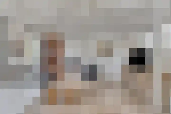 Baken 32 Scharendijke thumbnail 9