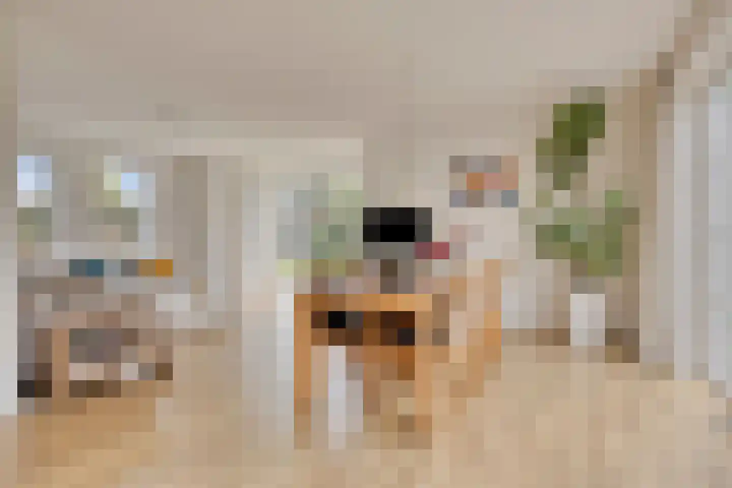 Baken 5 Stadskanaal thumbnail 21