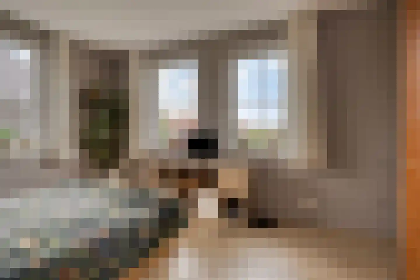 Baken 5 Stadskanaal thumbnail 33