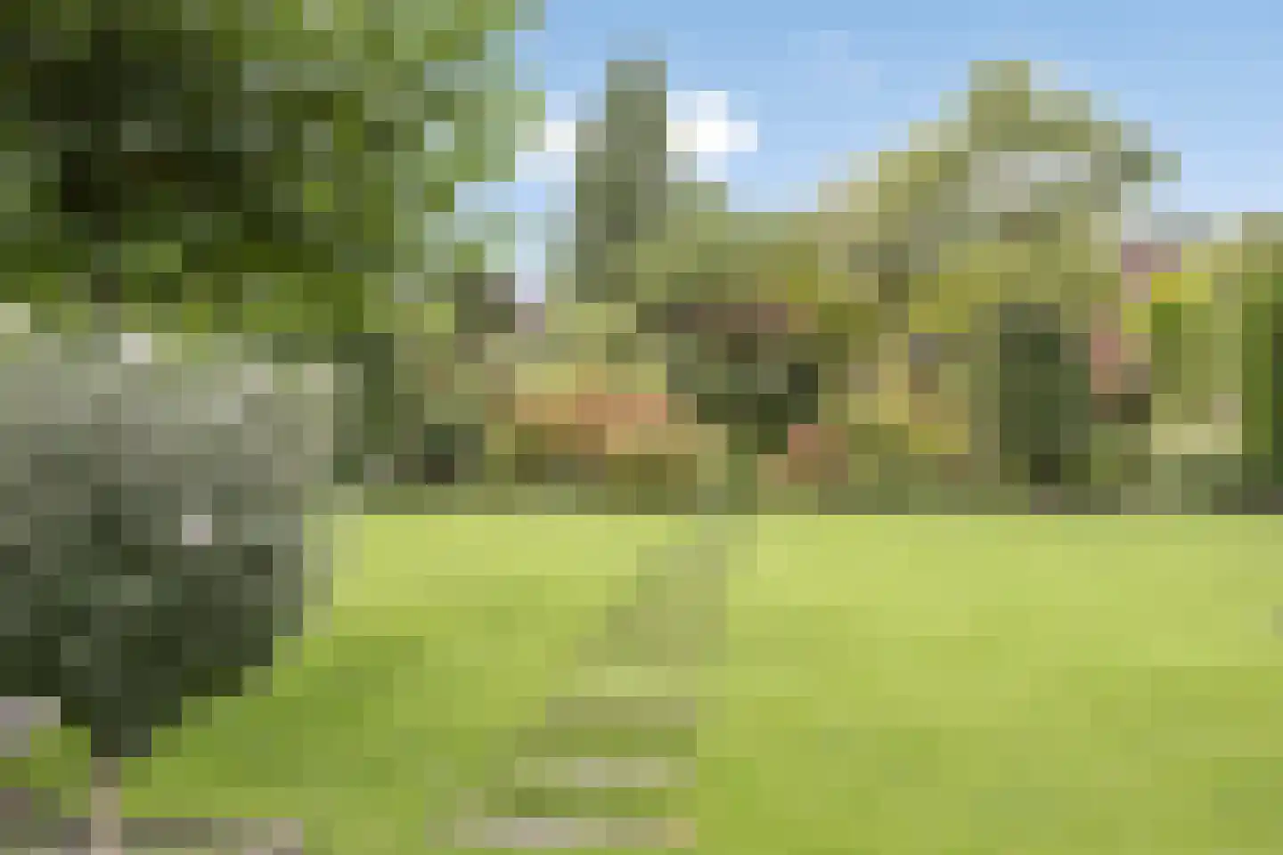 Baken 5 Stadskanaal thumbnail 42
