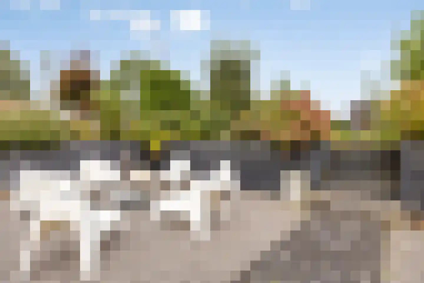 Baken 5 Stadskanaal thumbnail 43