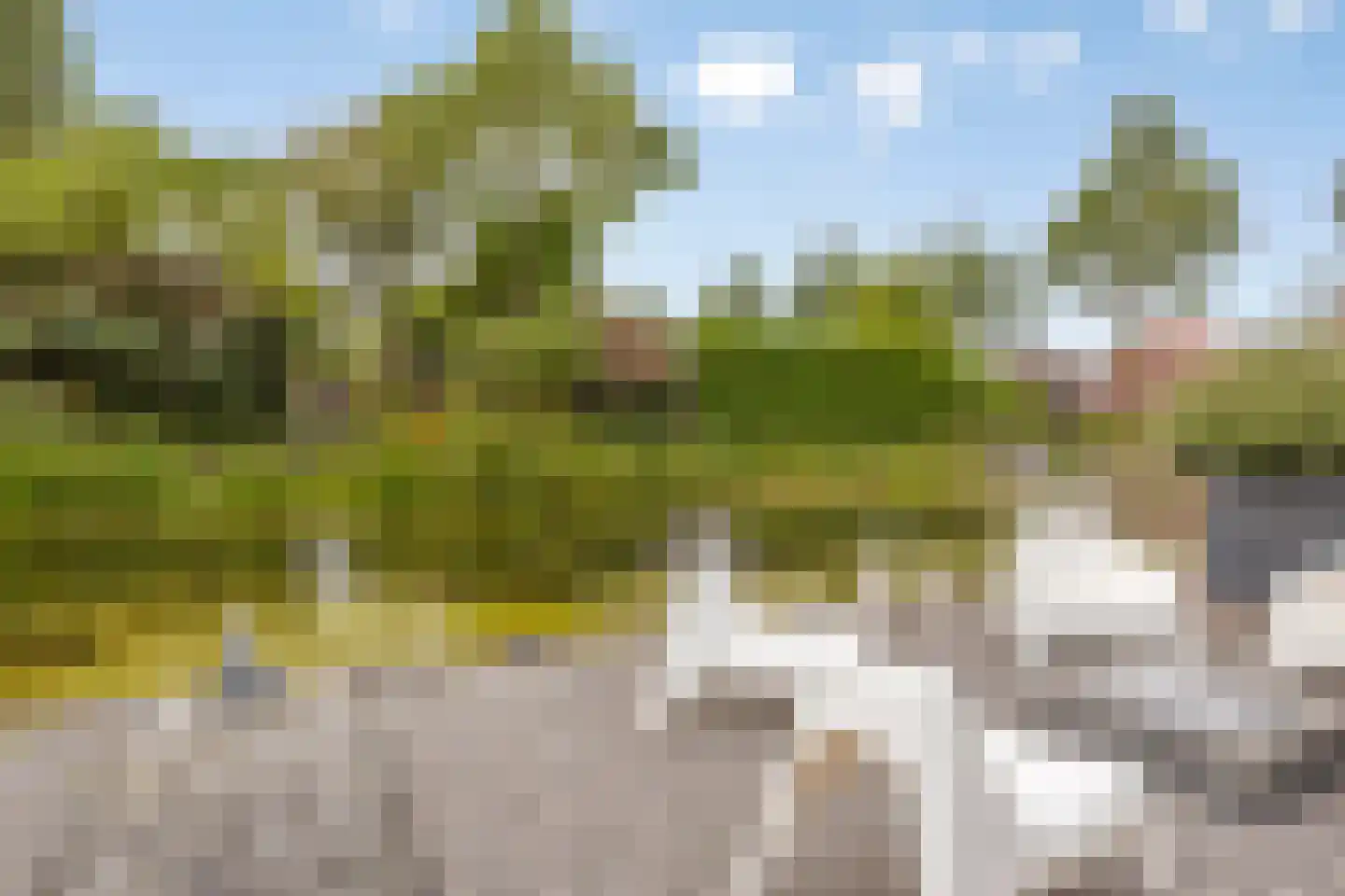 Baken 5 Stadskanaal thumbnail 44