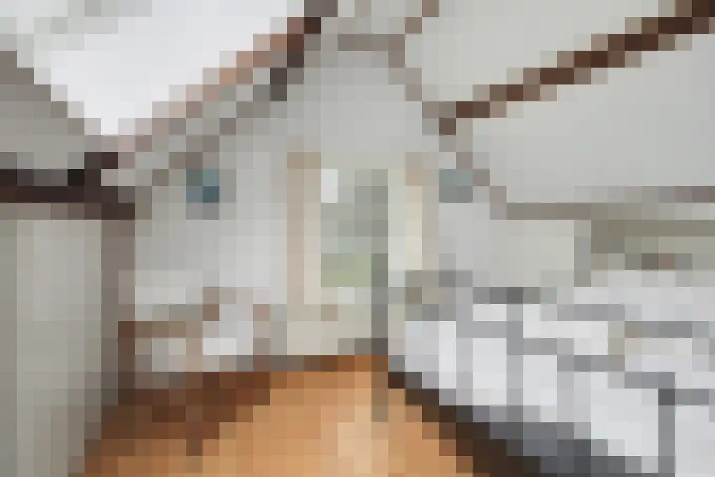 Baken 6 Scharendijke thumbnail 27