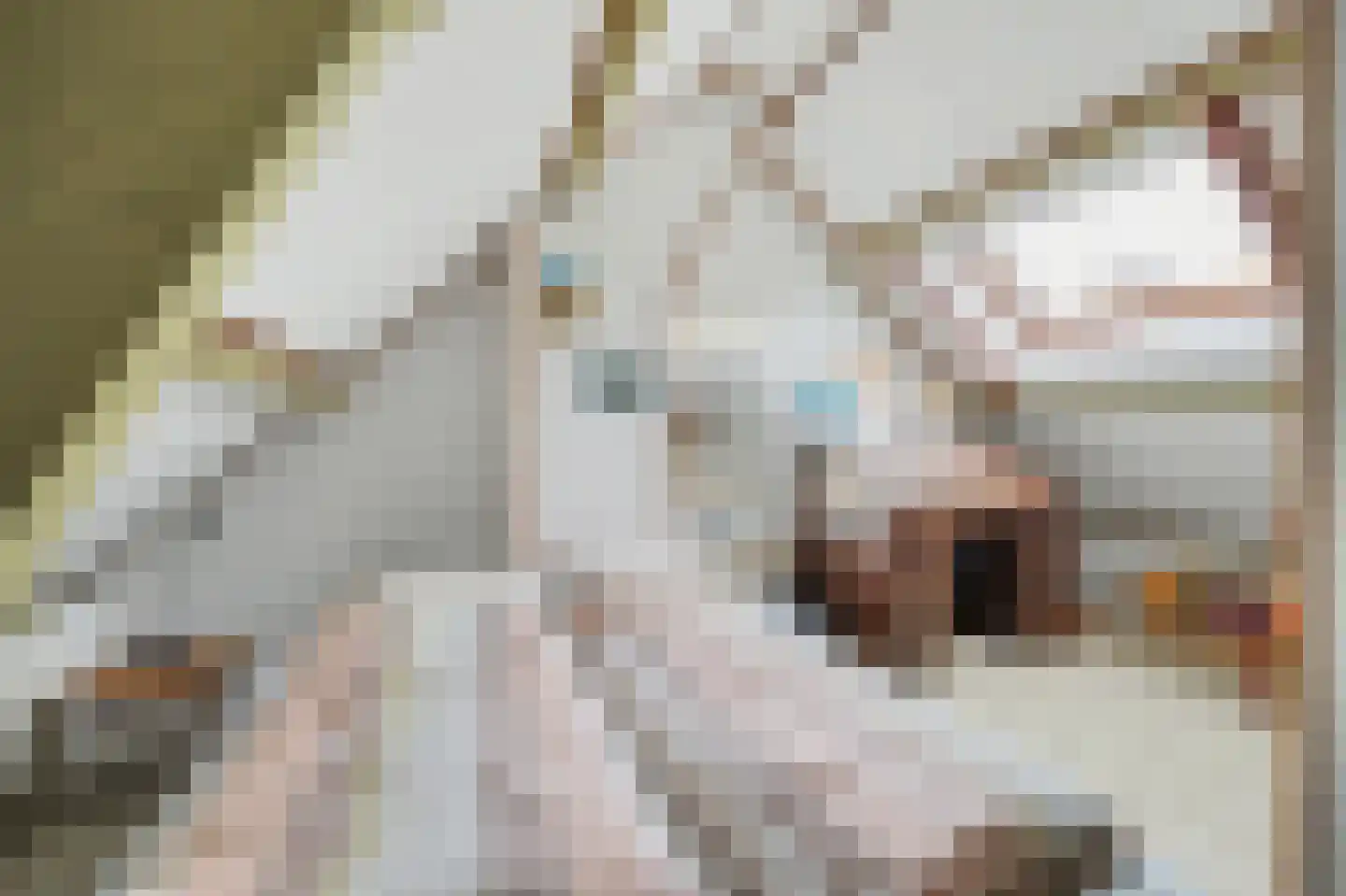 Baken 6 Scharendijke thumbnail 32