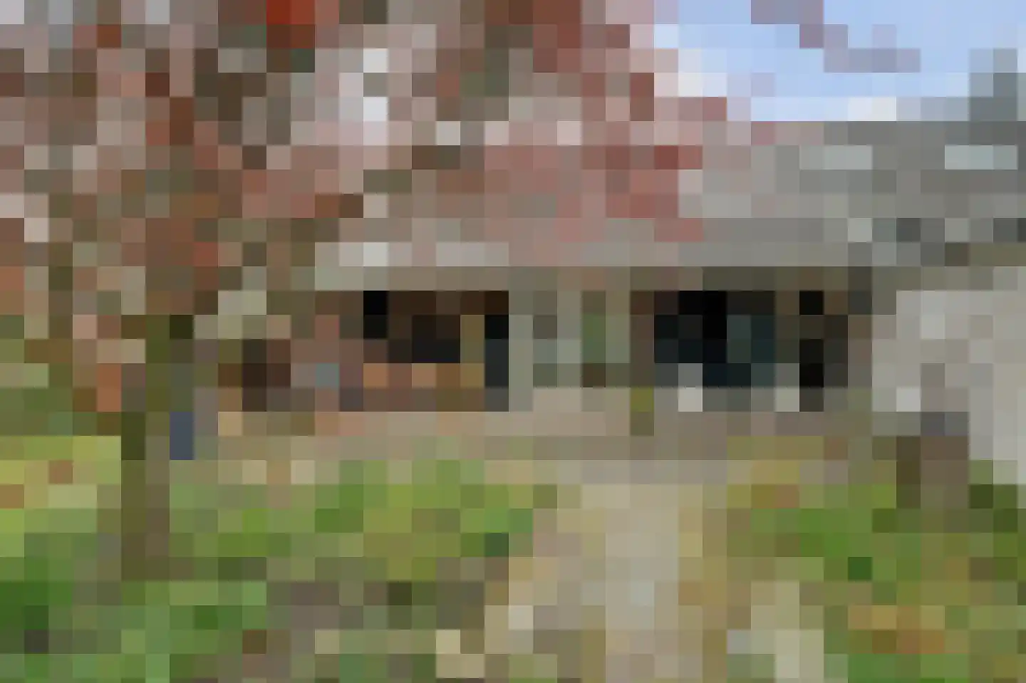 Baken 6 Scharendijke thumbnail 34