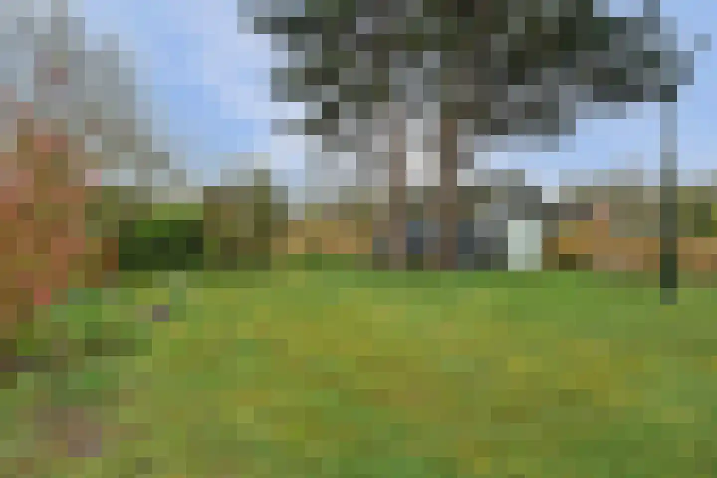 Baken 6 Scharendijke thumbnail 38