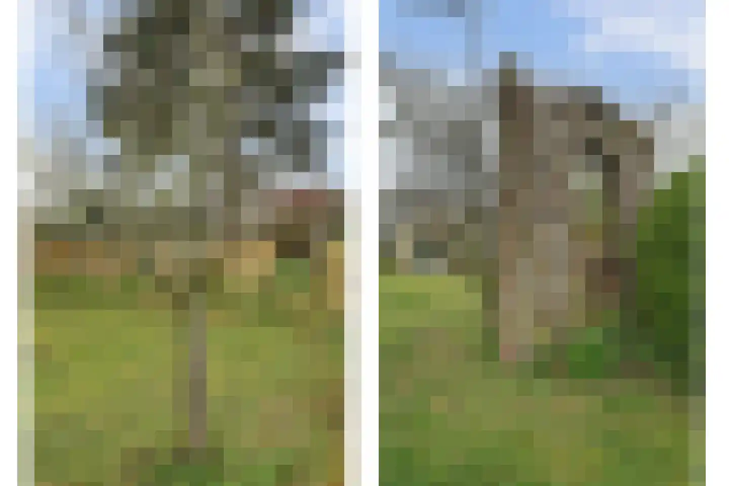 Baken 6 Scharendijke thumbnail 41