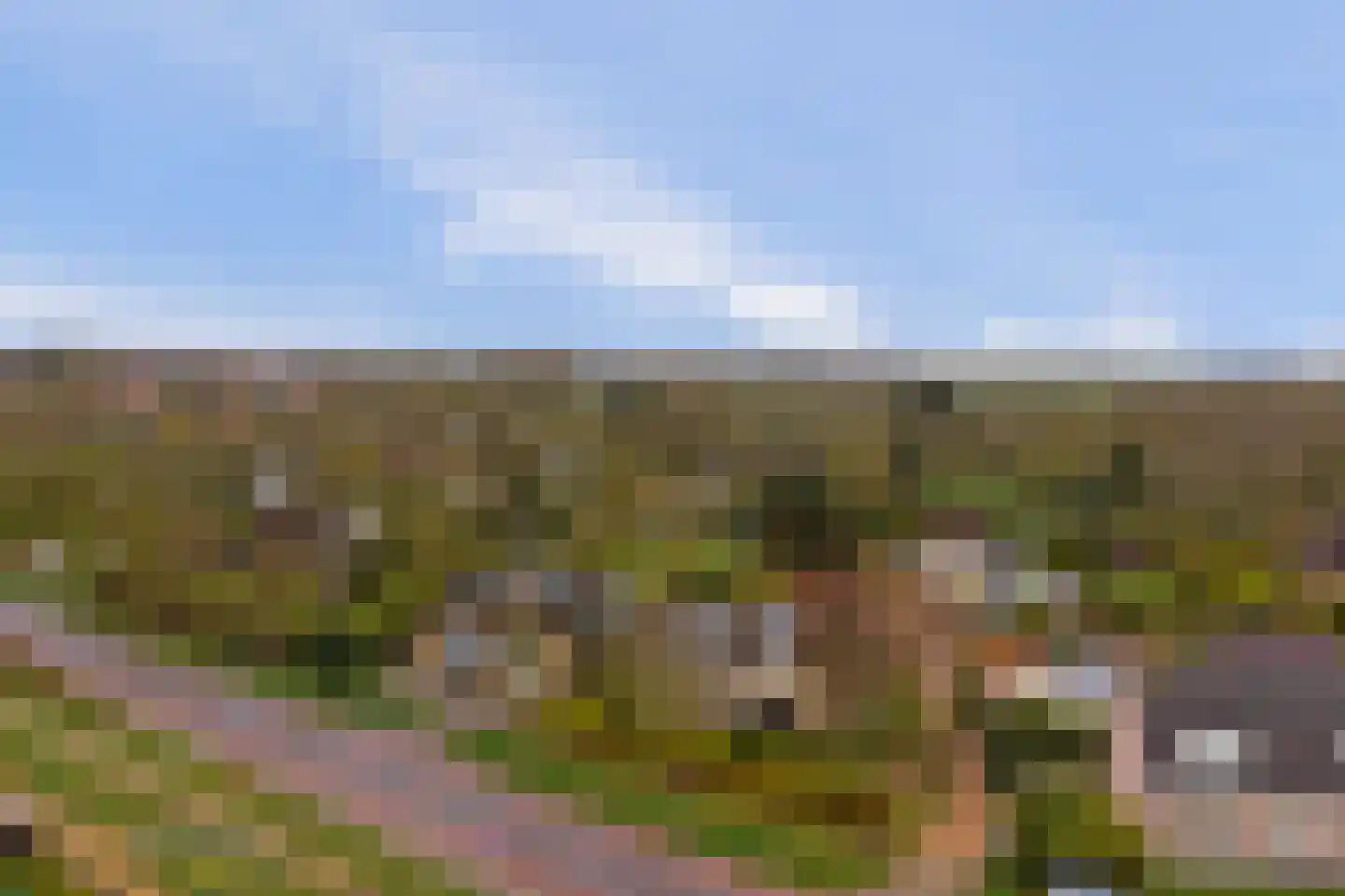 Baken 6 Scharendijke thumbnail 42