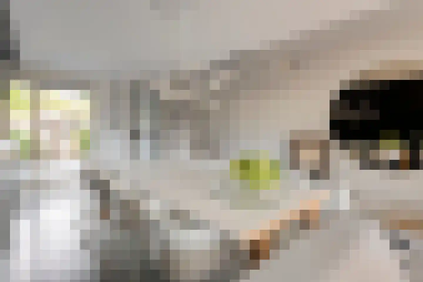 Baken 83 Groningen thumbnail 10