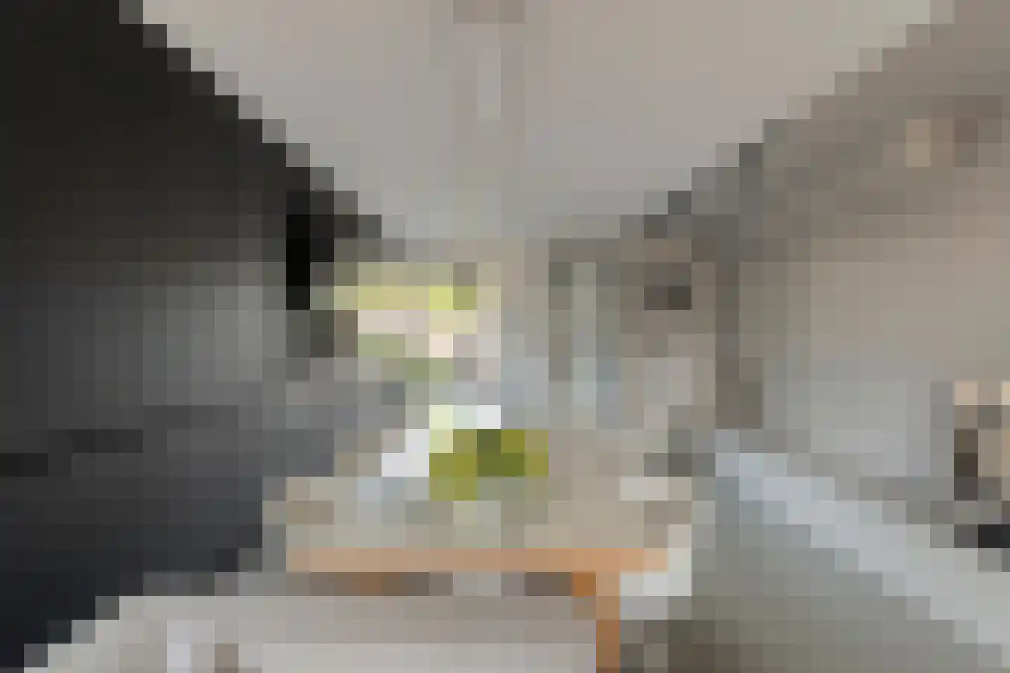 Baken 83 Groningen thumbnail 12