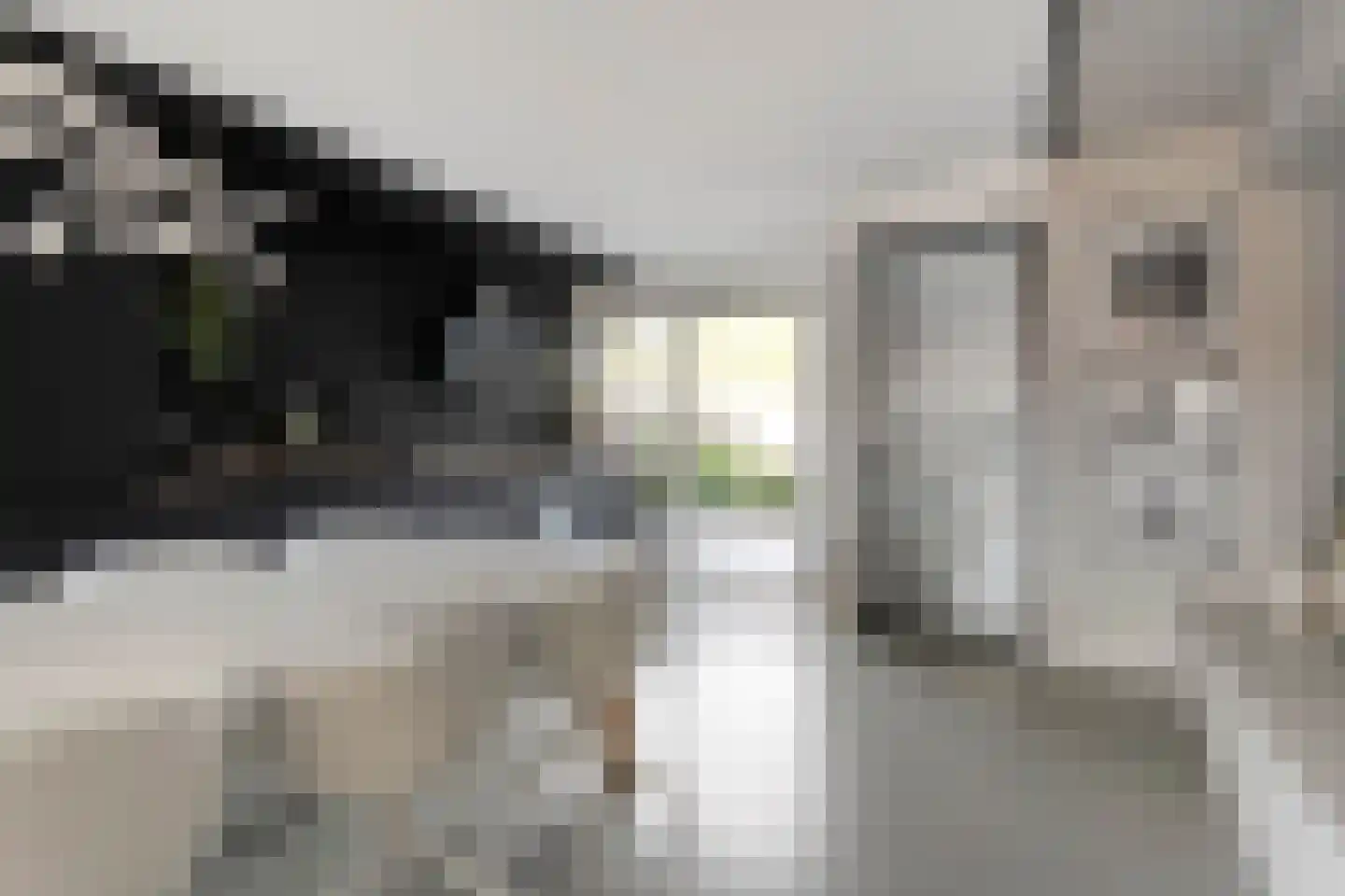 Baken 83 Groningen thumbnail 14