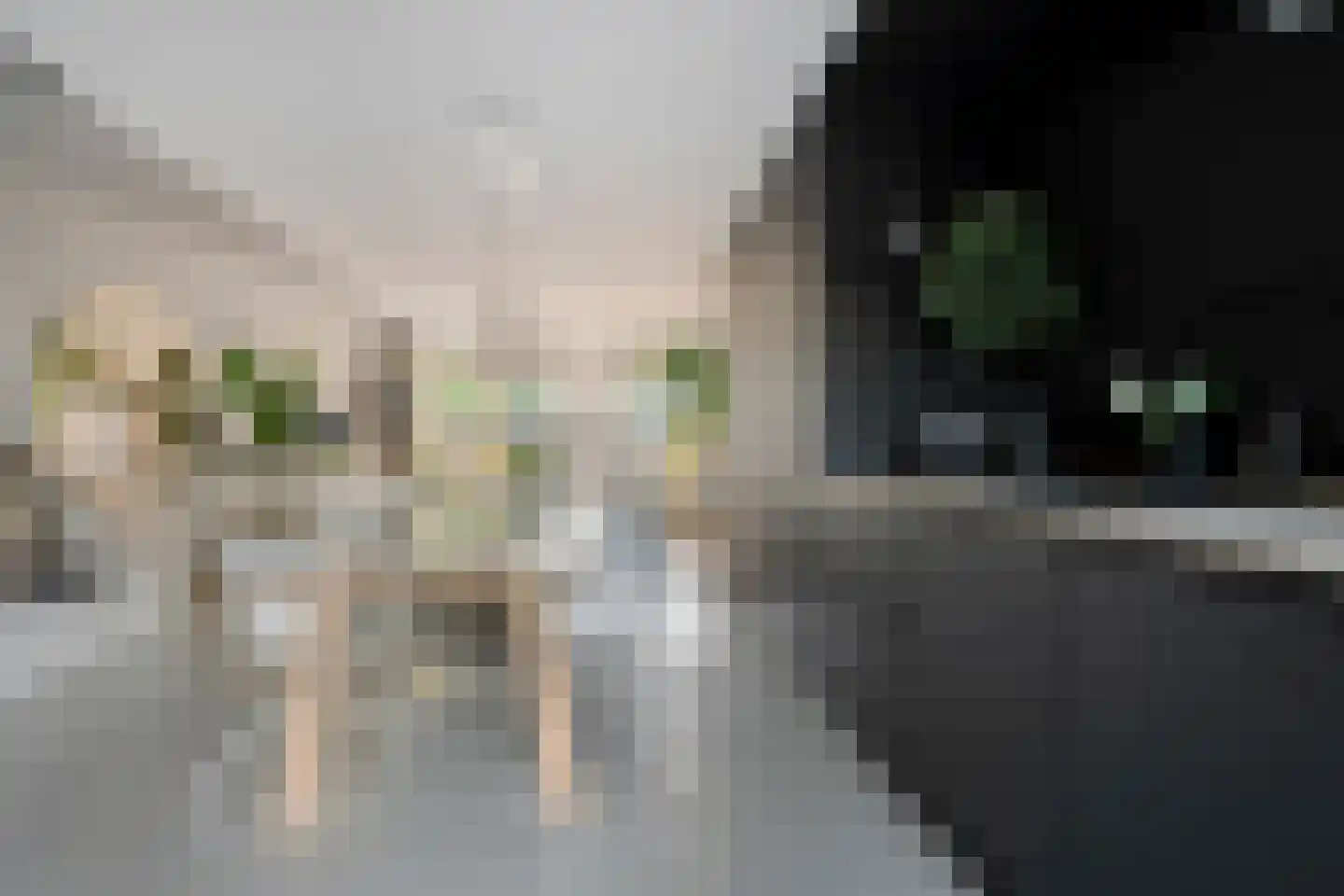 Baken 83 Groningen thumbnail 15