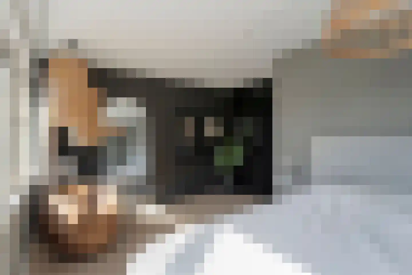 Baken 83 Groningen thumbnail 21