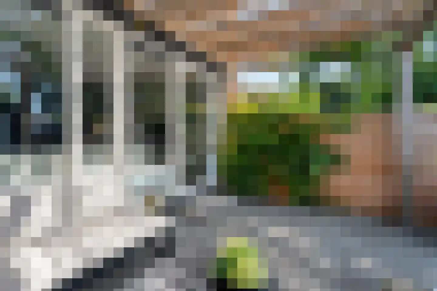 Baken 83 Groningen thumbnail 33