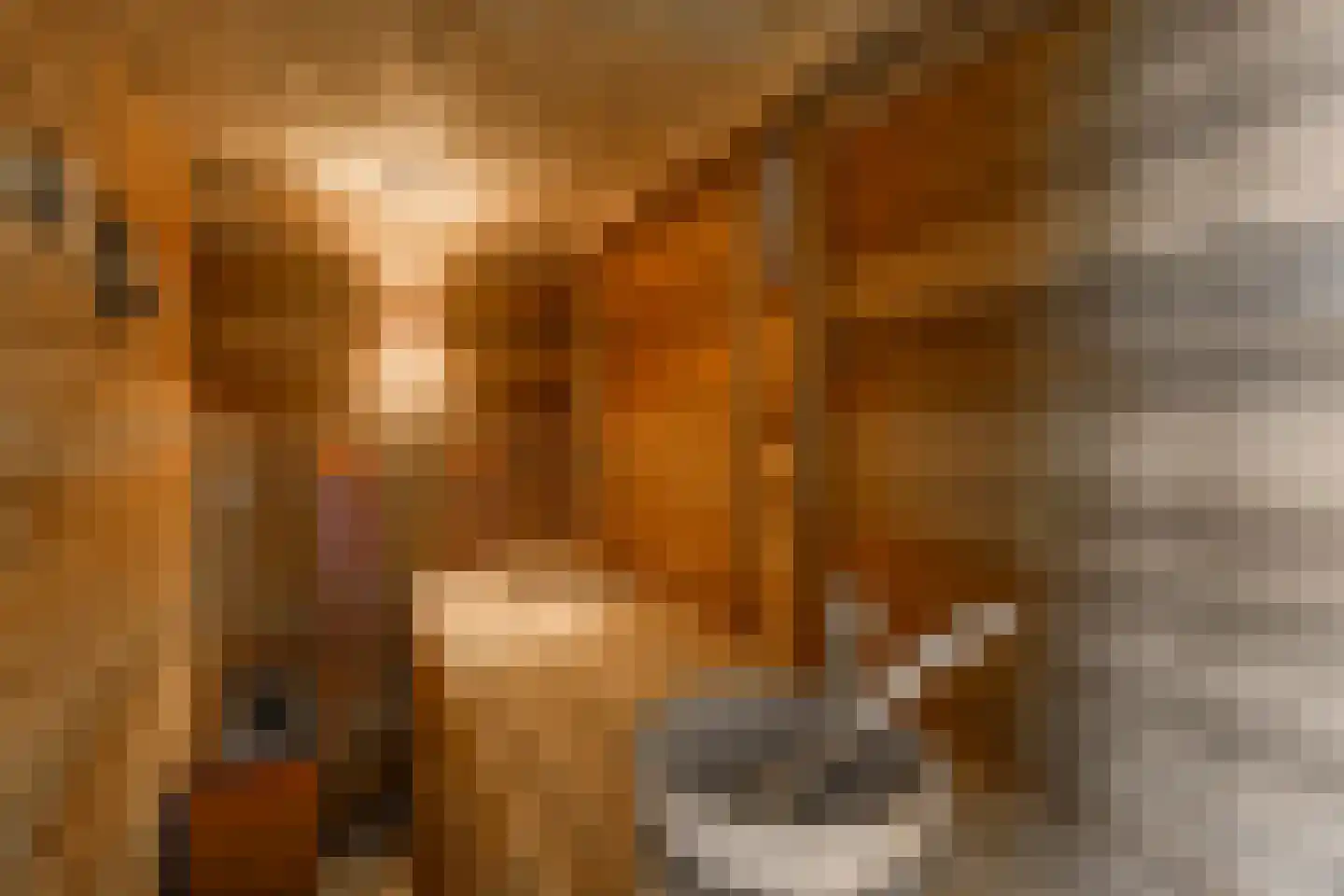 Baken 83 Groningen thumbnail 39