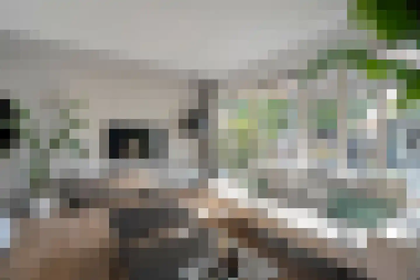 Baken 83 Groningen thumbnail 6