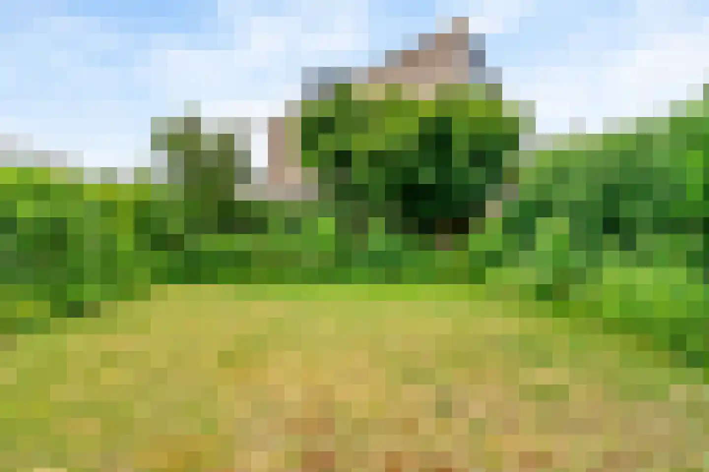 Baken 9 Amstelveen thumbnail 33
