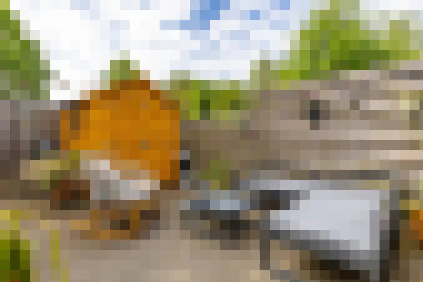 Baken 97 Groningen thumbnail 34
