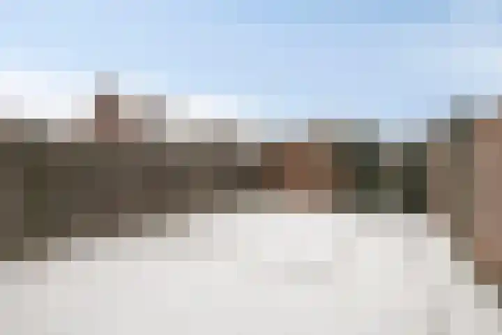 Bakenbergerhout 53 Harderwijk thumbnail 19