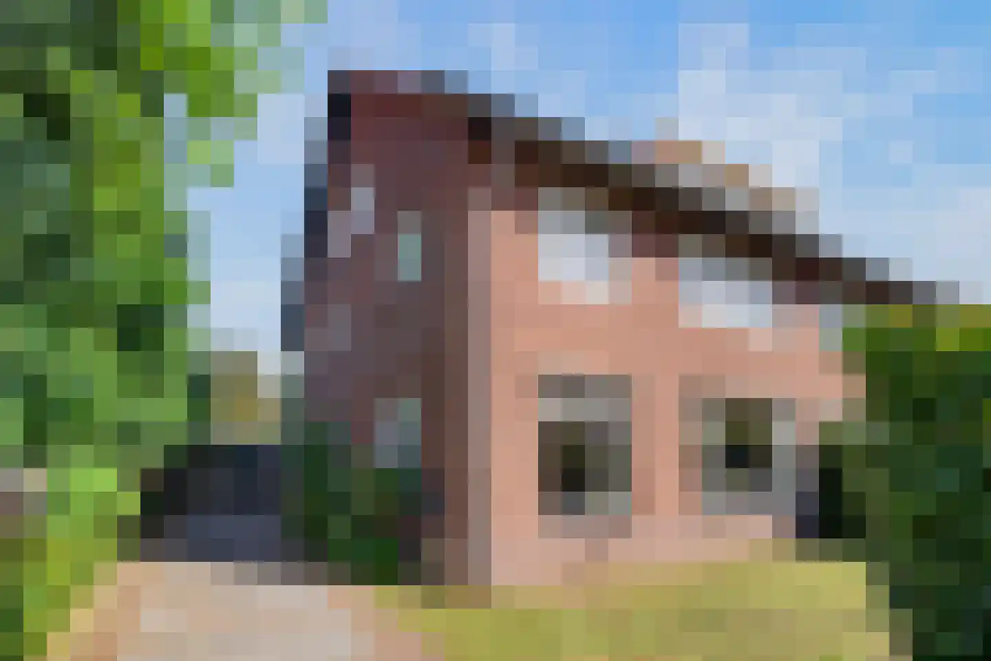 Bakenbergseweg 108 Arnhem thumbnail 60