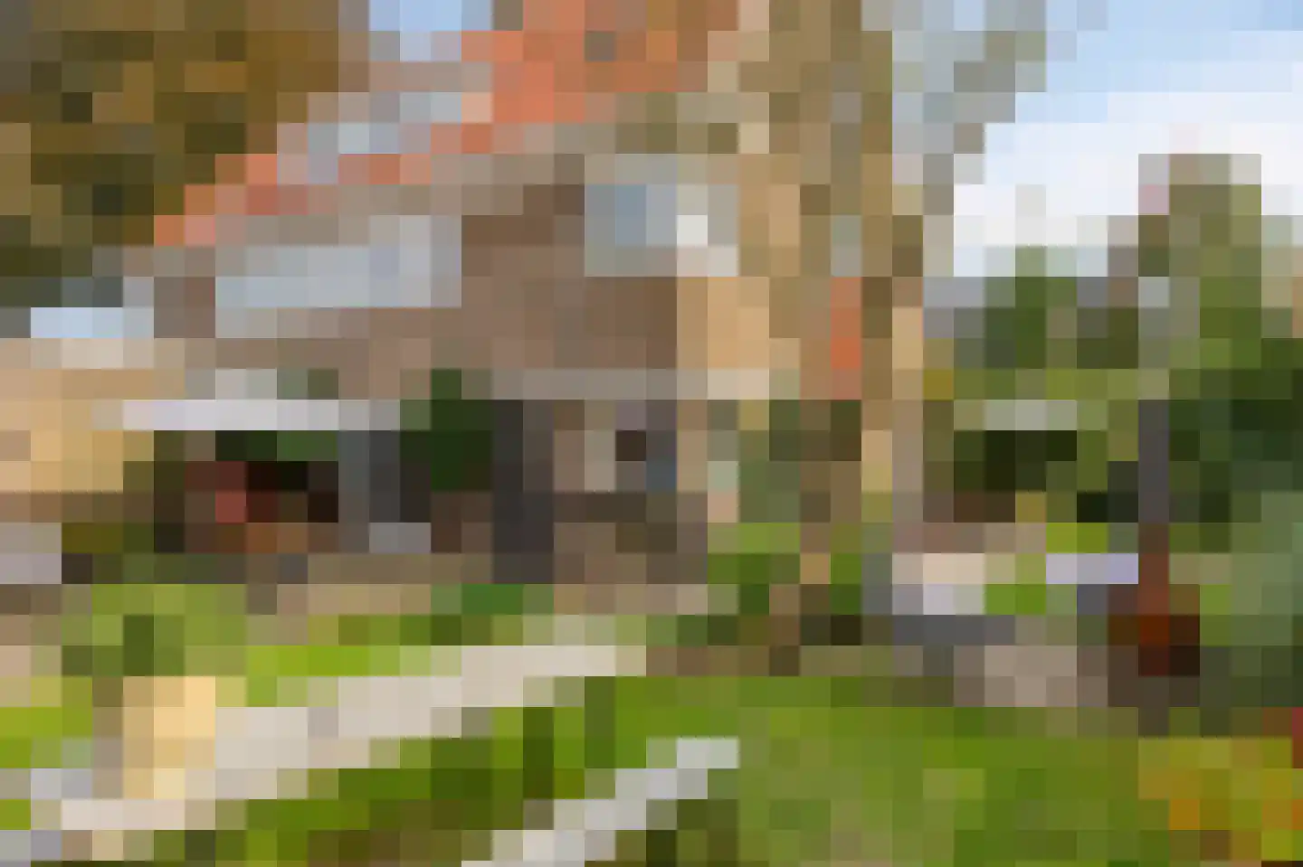 Bakenbergseweg 120 Arnhem thumbnail 33