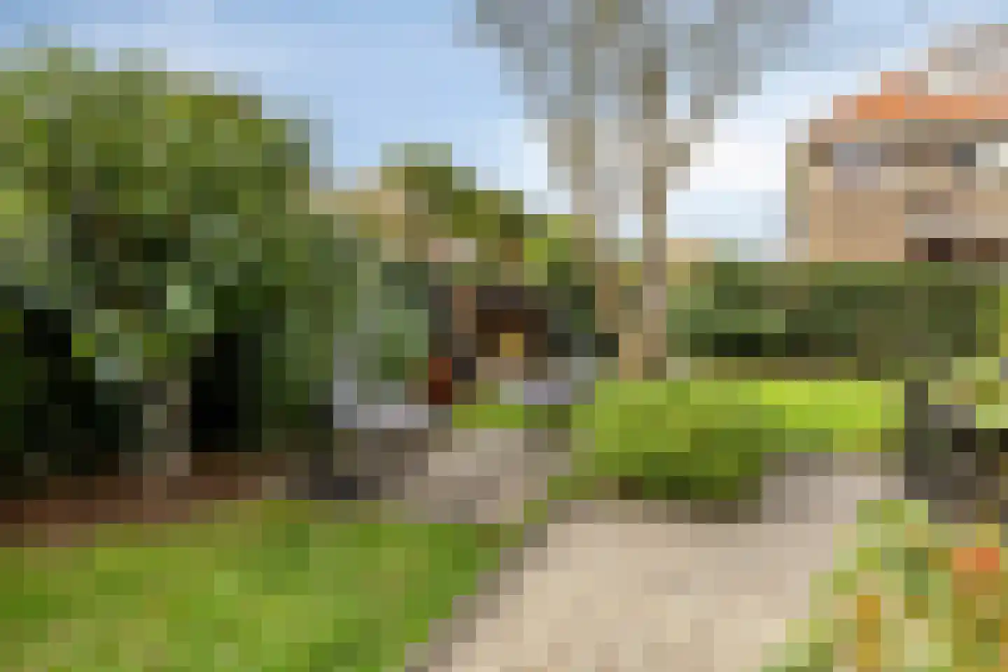 Bakenbergseweg 120 Arnhem thumbnail 35