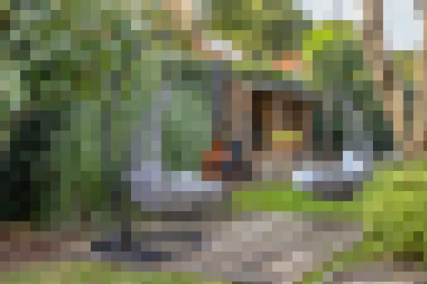 Bakenbergseweg 120 Arnhem thumbnail 36