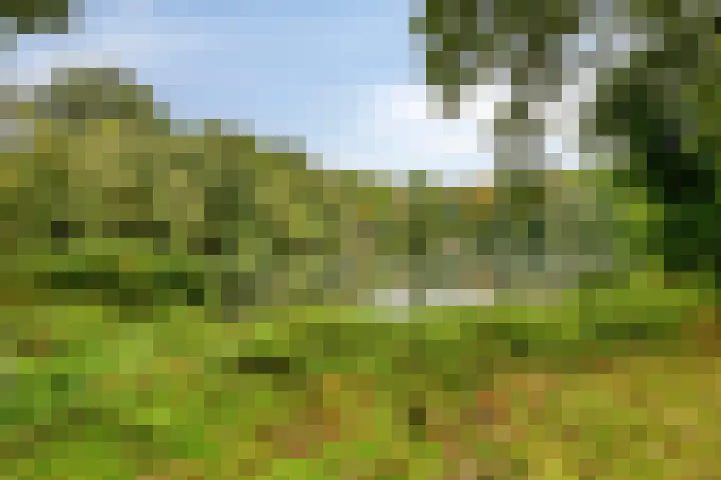 Bakenbergseweg 120 Arnhem thumbnail 42