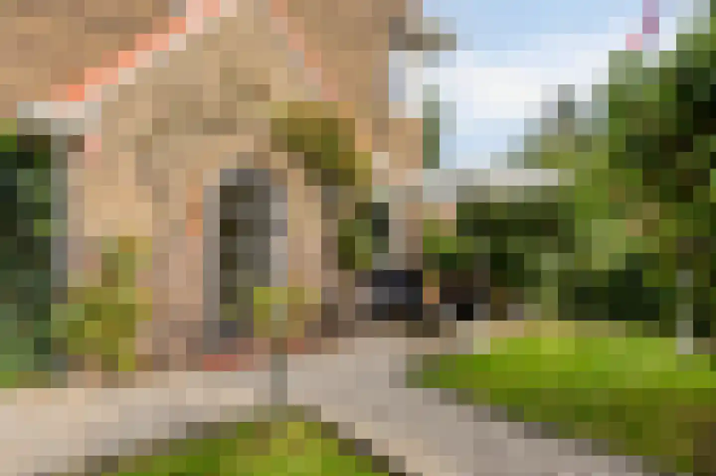 Bakenbergseweg 120 Arnhem thumbnail 5